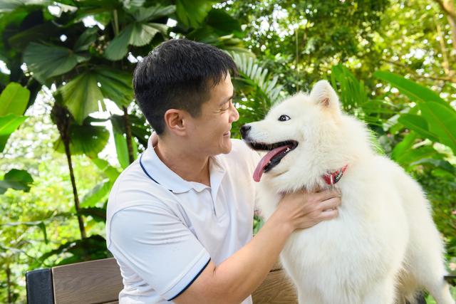 Leptospirosis canina