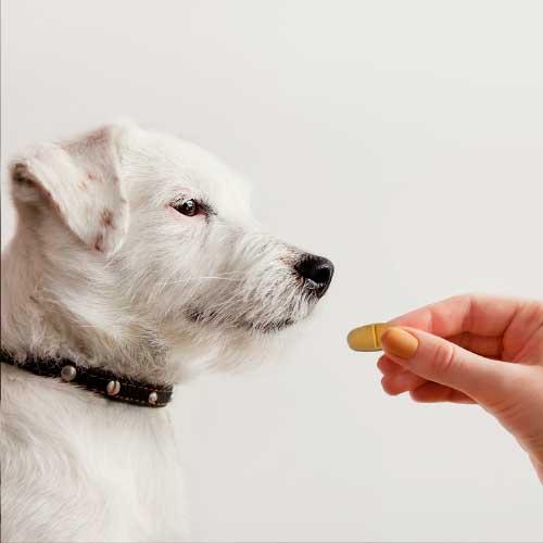 tratamiento cardiologia