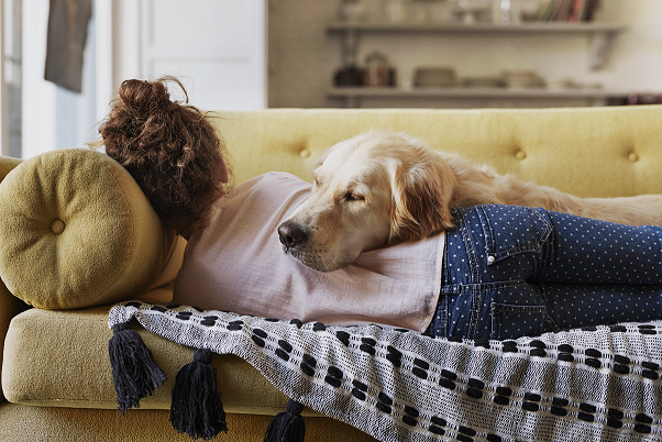 enfermedades en perros